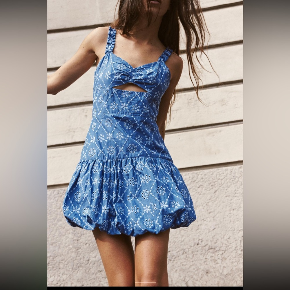 Zara openwork embroidered mini dress